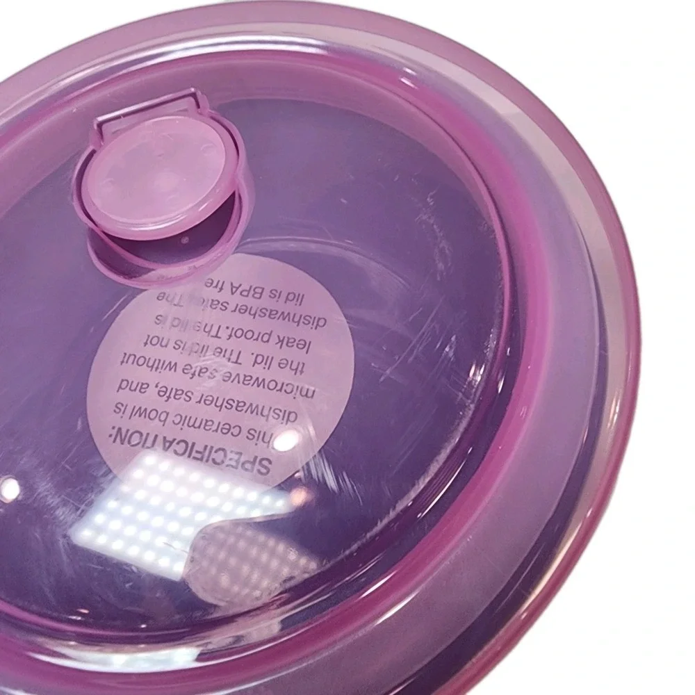 Room Essentials 2pc Food Storage Blue Stoneware Bowl Set 23oz Vented Pink Lid